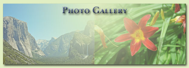 Photo Gallery Banner